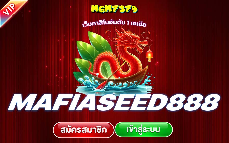 mafiaseed888 ทางเข้า